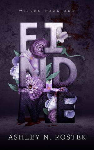 Book cover of Find Me by Ashley N. Rostek