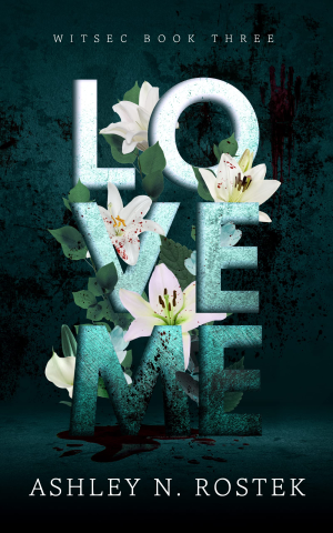 Book cover of Love Me by Ashley N. Rostek